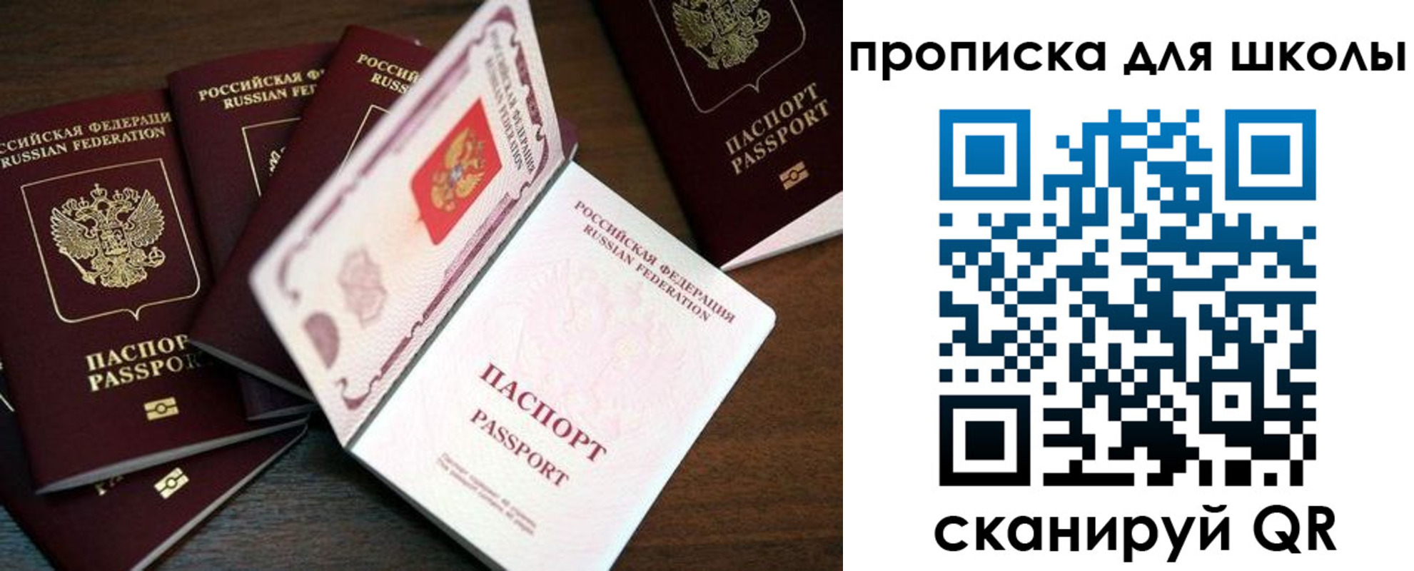 временная регистрация 2025 в Мончегорске